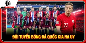 đội tuyển bóng đá quốc gia na uy