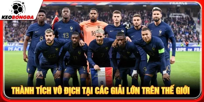 Thành tích vô địch tại các giải lớn trên thế giới.