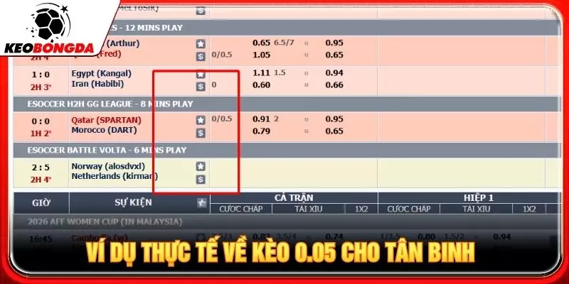 Ví dụ thực tế về kèo 0.05 cho tân binh