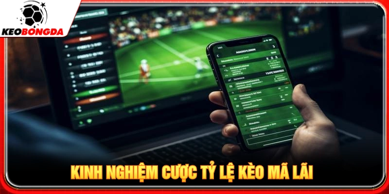 Kinh nghiệm chinh phục dạng tỷ lệ kèo Ma Lai